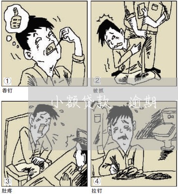 小额贷款 逾期 卡吗 小额贷款 逾期 卡吗